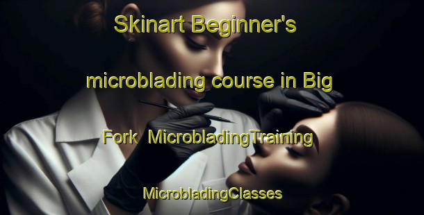 Skinart Beginner's microblading course in Big Fork | #MicrobladingTraining #MicrobladingClasses #SkinartTraining-Canada