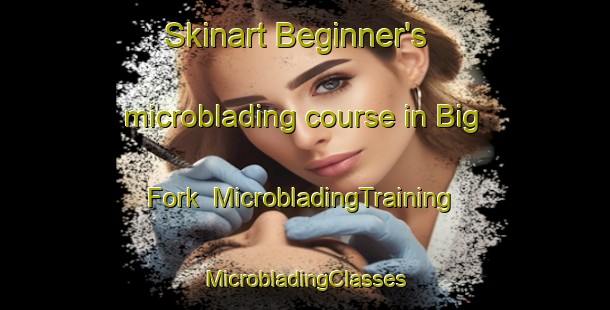 Skinart Beginner's microblading course in Big Fork | #MicrobladingTraining #MicrobladingClasses #SkinartTraining-Canada