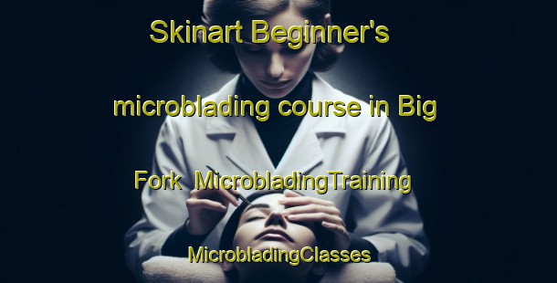 Skinart Beginner's microblading course in Big Fork | #MicrobladingTraining #MicrobladingClasses #SkinartTraining-Canada