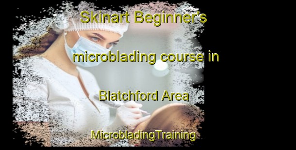 Skinart Beginner's microblading course in Blatchford Area | MicrobladingTraining | MicrobladingClasses | SkinartTraining-Canada