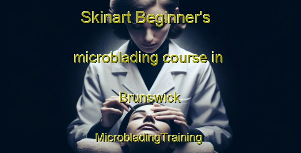 Skinart Beginner's microblading course in Brunswick | #MicrobladingTraining #MicrobladingClasses #SkinartTraining-Canada