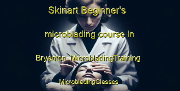 Skinart Beginner's microblading course in Bryenton | MicrobladingTraining | MicrobladingClasses | SkinartTraining-Canada