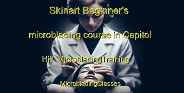 Skinart Beginner's microblading course in Capitol Hill | MicrobladingTraining | MicrobladingClasses | SkinartTraining-Canada