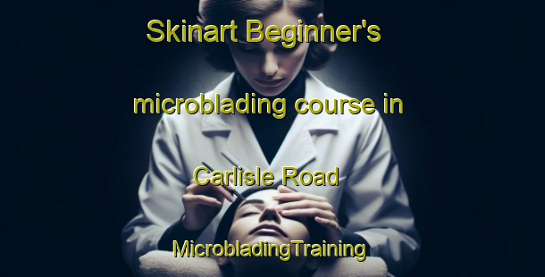 Skinart Beginner's microblading course in Carlisle Road | #MicrobladingTraining #MicrobladingClasses #SkinartTraining-Canada