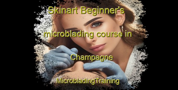 Skinart Beginner's microblading course in Champagne | #MicrobladingTraining #MicrobladingClasses #SkinartTraining-Canada