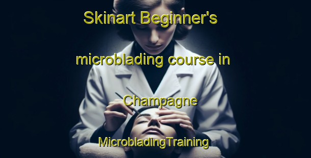 Skinart Beginner's microblading course in Champagne | #MicrobladingTraining #MicrobladingClasses #SkinartTraining-Canada