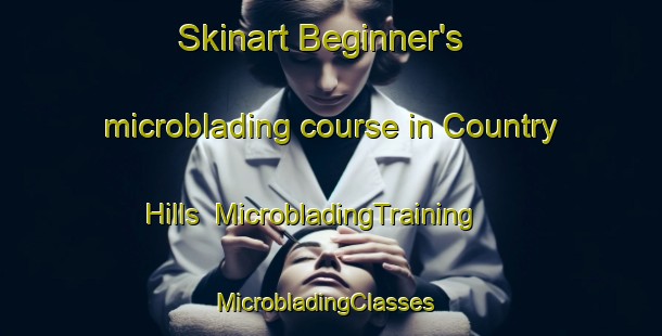 Skinart Beginner's microblading course in Country Hills | MicrobladingTraining | MicrobladingClasses | SkinartTraining-Canada