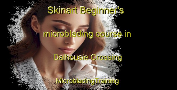 Skinart Beginner's microblading course in Dalhousie Crossing | #MicrobladingTraining #MicrobladingClasses #SkinartTraining-Canada