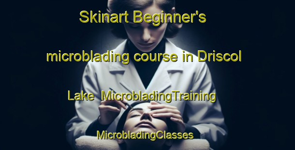 Skinart Beginner's microblading course in Driscol Lake | MicrobladingTraining | MicrobladingClasses | SkinartTraining-Canada