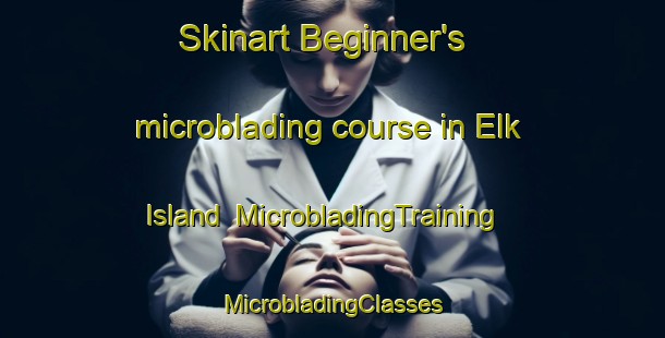 Skinart Beginner's microblading course in Elk Island | #MicrobladingTraining #MicrobladingClasses #SkinartTraining-Canada