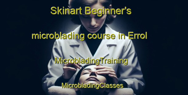 Skinart Beginner's microblading course in Errol | MicrobladingTraining | MicrobladingClasses | SkinartTraining-Canada