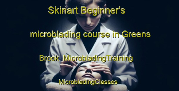 Skinart Beginner's microblading course in Greens Brook | MicrobladingTraining | MicrobladingClasses | SkinartTraining-Canada
