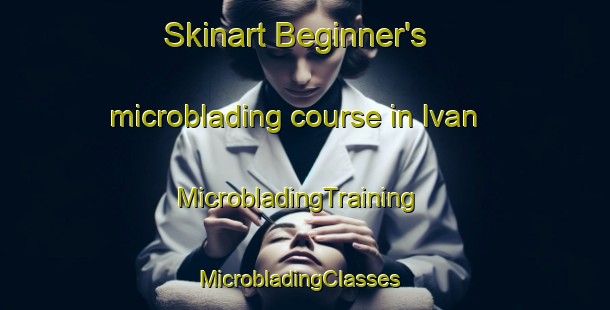 Skinart Beginner's microblading course in Ivan | MicrobladingTraining | MicrobladingClasses | SkinartTraining-Canada