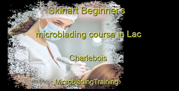 Skinart Beginner's microblading course in Lac Charlebois | MicrobladingTraining | MicrobladingClasses | SkinartTraining-Canada
