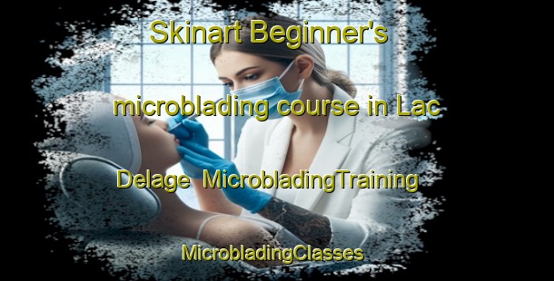 Skinart Beginner's microblading course in Lac Delage | MicrobladingTraining | MicrobladingClasses | SkinartTraining-Canada