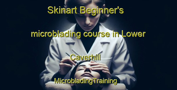 Skinart Beginner's microblading course in Lower Caverhill | MicrobladingTraining | MicrobladingClasses | SkinartTraining-Canada