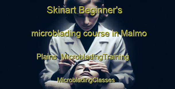 Skinart Beginner's microblading course in Malmo Plains | MicrobladingTraining | MicrobladingClasses | SkinartTraining-Canada