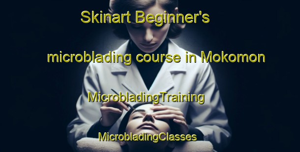 Skinart Beginner's microblading course in Mokomon | MicrobladingTraining | MicrobladingClasses | SkinartTraining-Canada