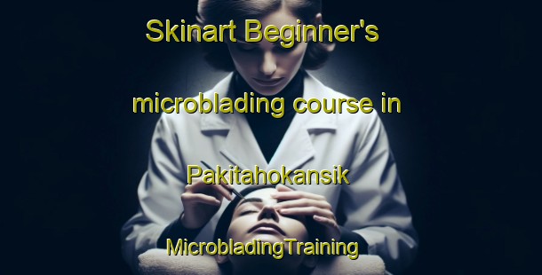 Skinart Beginner's microblading course in Pakitahokansik | MicrobladingTraining | MicrobladingClasses | SkinartTraining-Canada