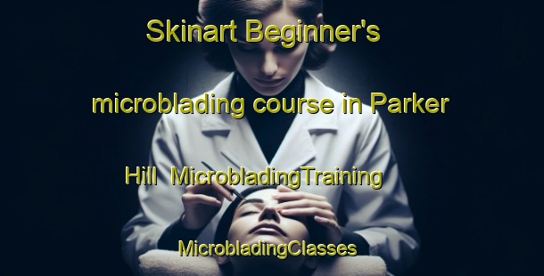 Skinart Beginner's microblading course in Parker Hill | MicrobladingTraining | MicrobladingClasses | SkinartTraining-Canada