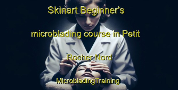 Skinart Beginner's microblading course in Petit Rocher Nord | #MicrobladingTraining #MicrobladingClasses #SkinartTraining-Canada