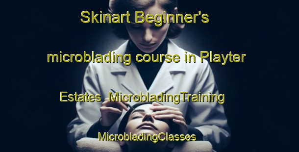 Skinart Beginner's microblading course in Playter Estates | MicrobladingTraining | MicrobladingClasses | SkinartTraining-Canada