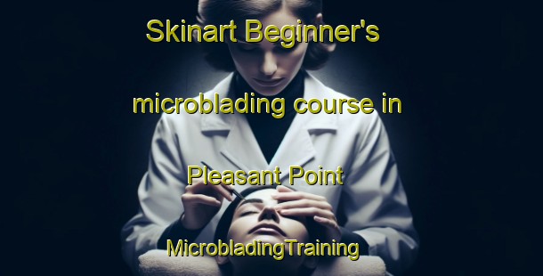 Skinart Beginner's microblading course in Pleasant Point | MicrobladingTraining | MicrobladingClasses | SkinartTraining-Canada