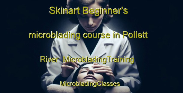 Skinart Beginner's microblading course in Pollett River | MicrobladingTraining | MicrobladingClasses | SkinartTraining-Canada