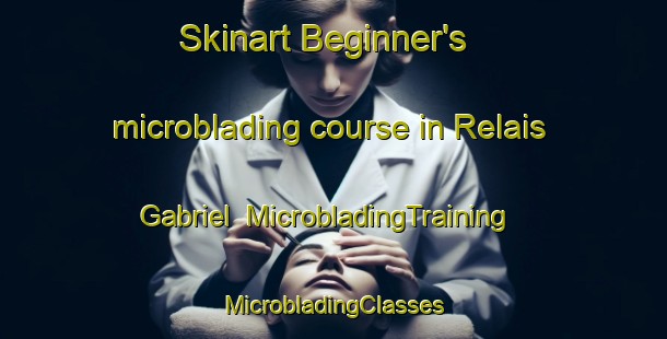 Skinart Beginner's microblading course in Relais Gabriel | #MicrobladingTraining #MicrobladingClasses #SkinartTraining-Canada