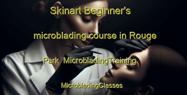 Skinart Beginner's microblading course in Rouge Park | MicrobladingTraining | MicrobladingClasses | SkinartTraining-Canada