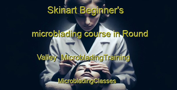 Skinart Beginner's microblading course in Round Valley | MicrobladingTraining | MicrobladingClasses | SkinartTraining-Canada