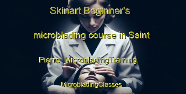 Skinart Beginner's microblading course in Saint Pierre | MicrobladingTraining | MicrobladingClasses | SkinartTraining-Canada