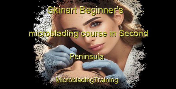 Skinart Beginner's microblading course in Second Peninsula | #MicrobladingTraining #MicrobladingClasses #SkinartTraining-Canada