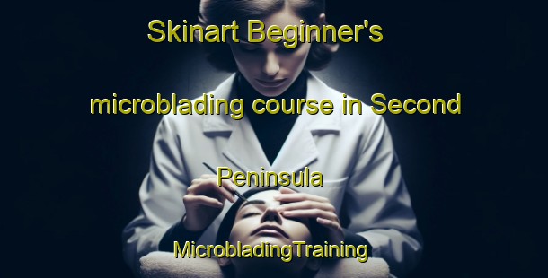 Skinart Beginner's microblading course in Second Peninsula | #MicrobladingTraining #MicrobladingClasses #SkinartTraining-Canada