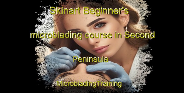 Skinart Beginner's microblading course in Second Peninsula | MicrobladingTraining | MicrobladingClasses | SkinartTraining-Canada