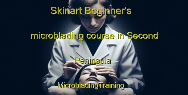 Skinart Beginner's microblading course in Second Peninsula | MicrobladingTraining | MicrobladingClasses | SkinartTraining-Canada