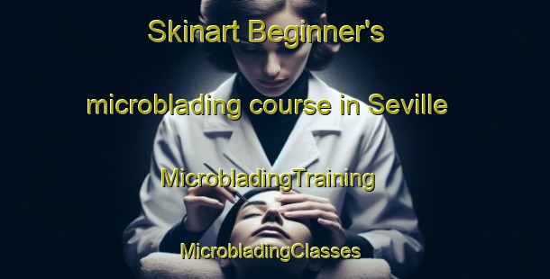 Skinart Beginner's microblading course in Seville | MicrobladingTraining | MicrobladingClasses | SkinartTraining-Canada