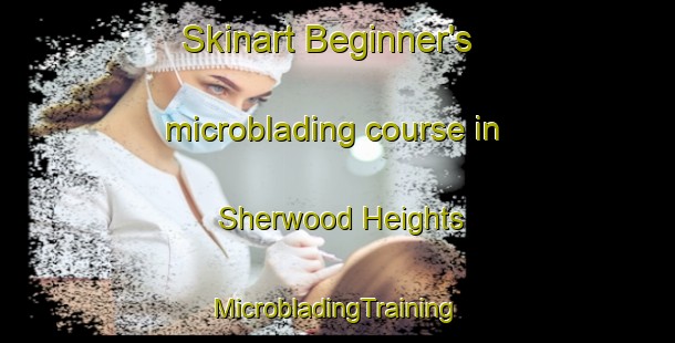 Skinart Beginner's microblading course in Sherwood Heights | #MicrobladingTraining #MicrobladingClasses #SkinartTraining-Canada