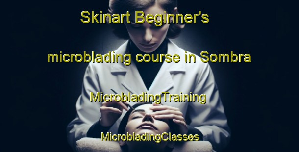 Skinart Beginner's microblading course in Sombra | #MicrobladingTraining #MicrobladingClasses #SkinartTraining-Canada