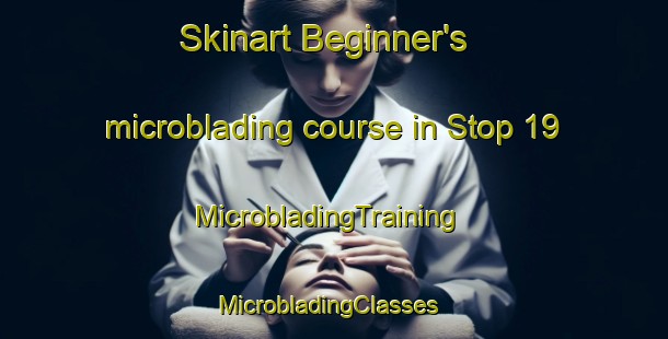 Skinart Beginner's microblading course in Stop 19 | MicrobladingTraining | MicrobladingClasses | SkinartTraining-Canada