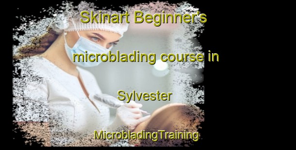 Skinart Beginner's microblading course in Sylvester | #MicrobladingTraining #MicrobladingClasses #SkinartTraining-Canada