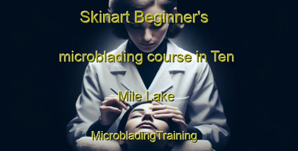 Skinart Beginner's microblading course in Ten Mile Lake | MicrobladingTraining | MicrobladingClasses | SkinartTraining-Canada