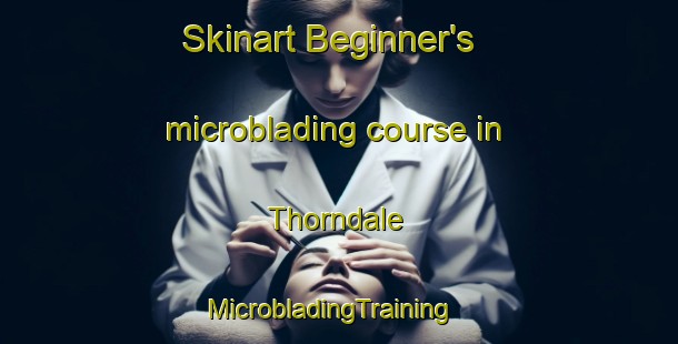 Skinart Beginner's microblading course in Thorndale | MicrobladingTraining | MicrobladingClasses | SkinartTraining-Canada