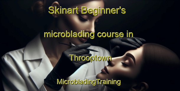 Skinart Beginner's microblading course in Throoptown | #MicrobladingTraining #MicrobladingClasses #SkinartTraining-Canada