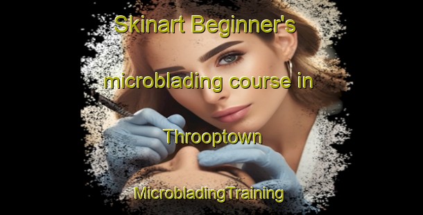 Skinart Beginner's microblading course in Throoptown | #MicrobladingTraining #MicrobladingClasses #SkinartTraining-Canada