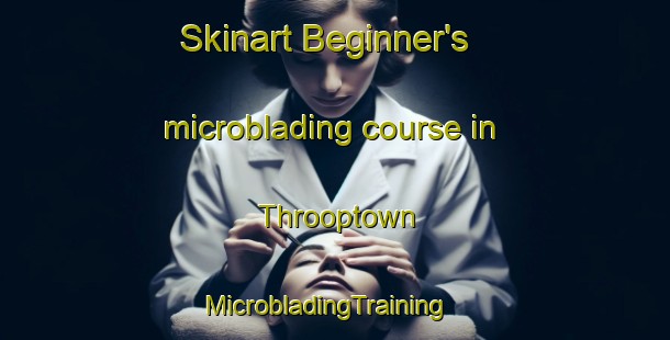 Skinart Beginner's microblading course in Throoptown | MicrobladingTraining | MicrobladingClasses | SkinartTraining-Canada
