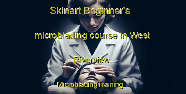 Skinart Beginner's microblading course in West Riverview | MicrobladingTraining | MicrobladingClasses | SkinartTraining-Canada