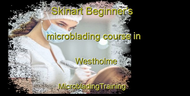 Skinart Beginner's microblading course in Westholme | MicrobladingTraining | MicrobladingClasses | SkinartTraining-Canada