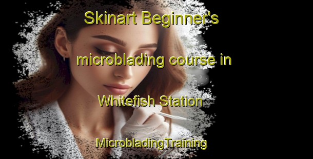 Skinart Beginner's microblading course in Whitefish Station | MicrobladingTraining | MicrobladingClasses | SkinartTraining-Canada