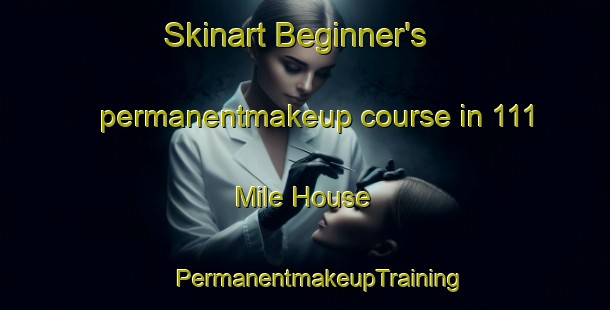 Skinart Beginner's permanentmakeup course in 111 Mile House | #PermanentmakeupTraining #PermanentmakeupClasses #SkinartTraining-Canada